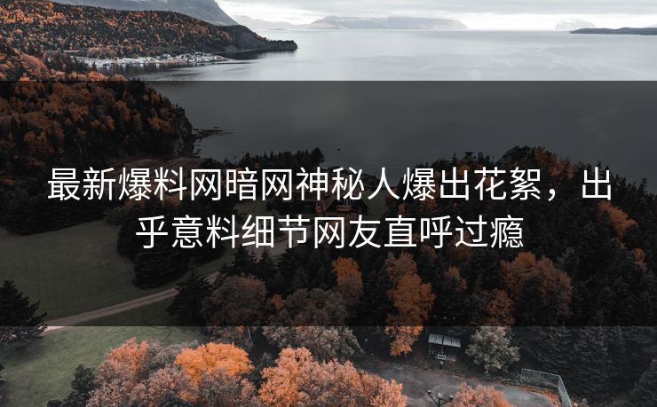 最新爆料网暗网神秘人爆出花絮，出乎意料细节网友直呼过瘾