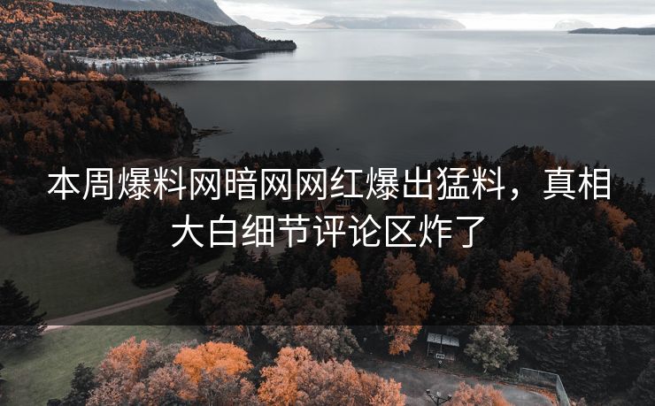 本周爆料网暗网网红爆出猛料，真相大白细节评论区炸了