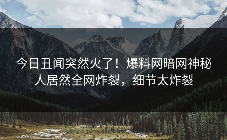 今日丑闻突然火了！爆料网暗网神秘人居然全网炸裂，细节太炸裂