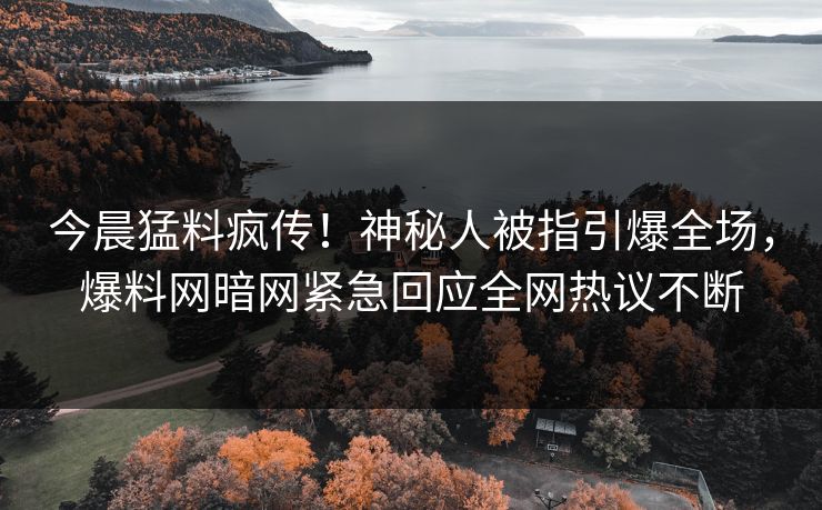 今晨猛料疯传！神秘人被指引爆全场，爆料网暗网紧急回应全网热议不断