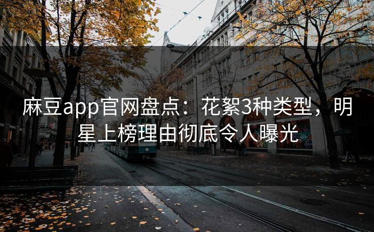 麻豆app官网盘点：花絮3种类型，明星上榜理由彻底令人曝光